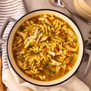 Homemade Chicken Noodle Soup
