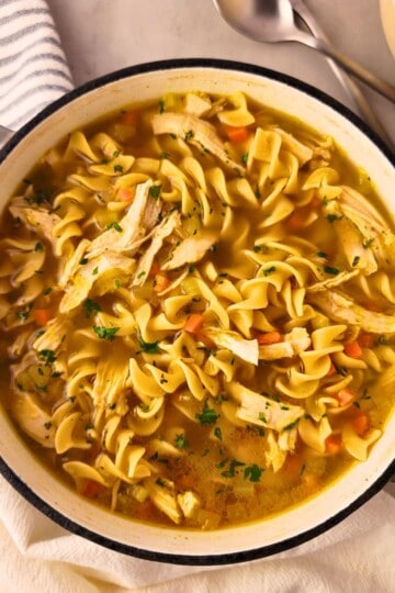 Homemade Chicken Noodle Soup