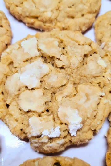 Oatmeal Cookies