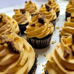 Chocolate Cupcakes with Peanut Butter Frosting