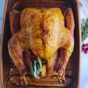 Thanksgiving Turkey Recipe