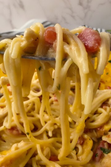 Cheesy Chicken Spaghetti