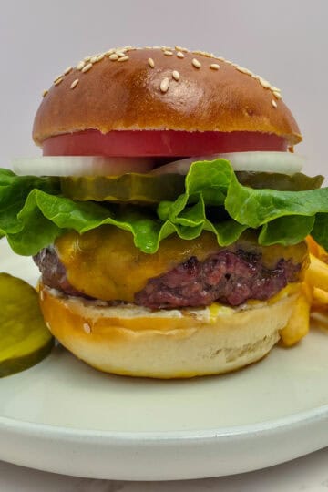 Homemade Hamburger Patty Recipe