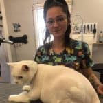 Une femme avec des lunettes et un tatouage, tenant un chat blanc dans un salon de toilettage.