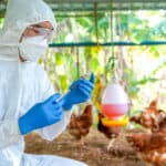 USDA Moves to Mass-Vaccinate Food Supply