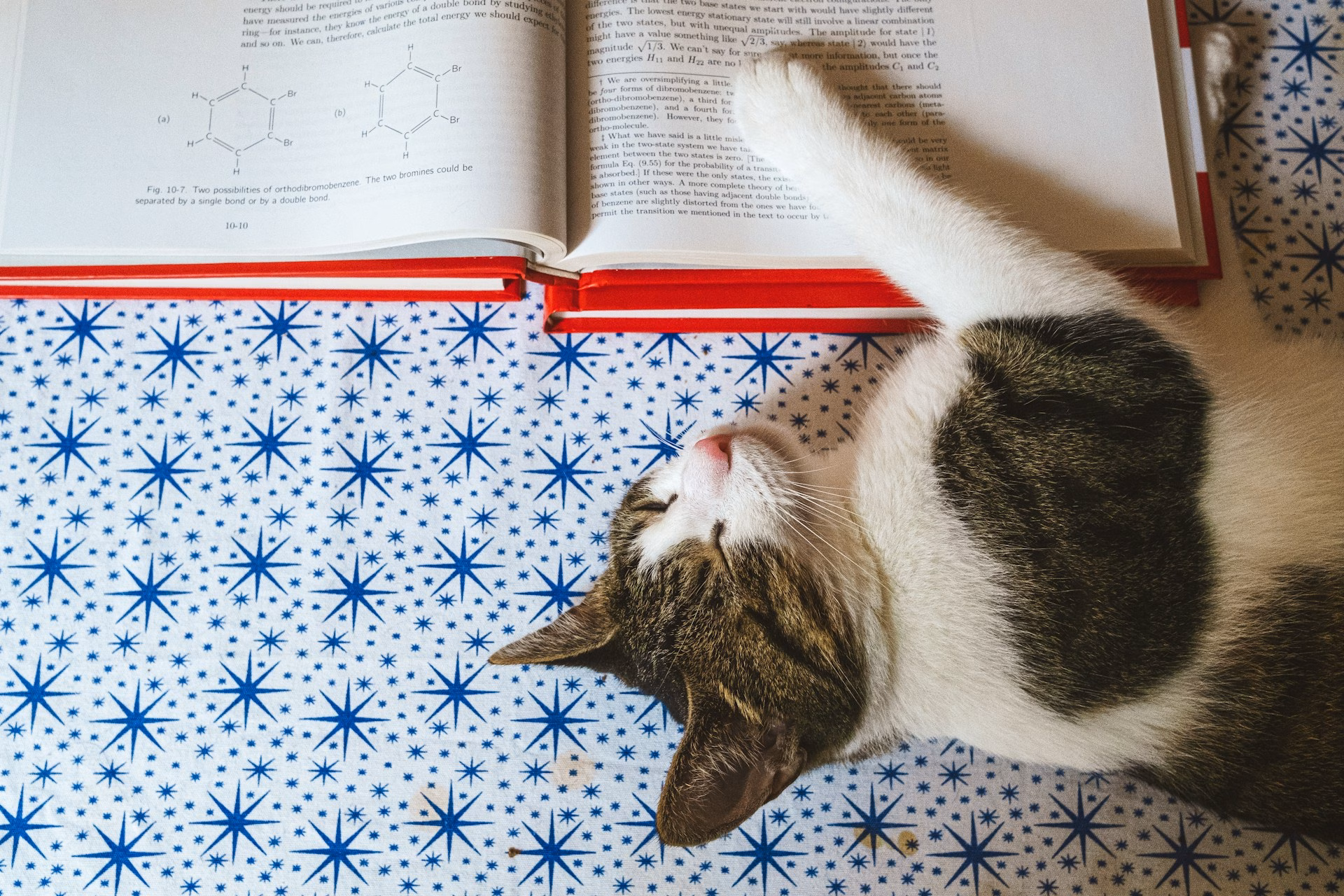 How Does Sleep Affect Academic Performance – 2026 Analysis