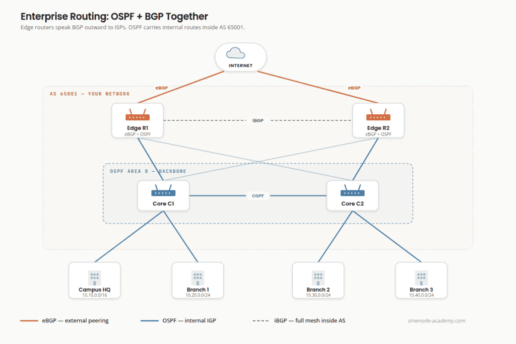 Network diagram comparing BGP and OSPF routing protocols for enterprise networks.