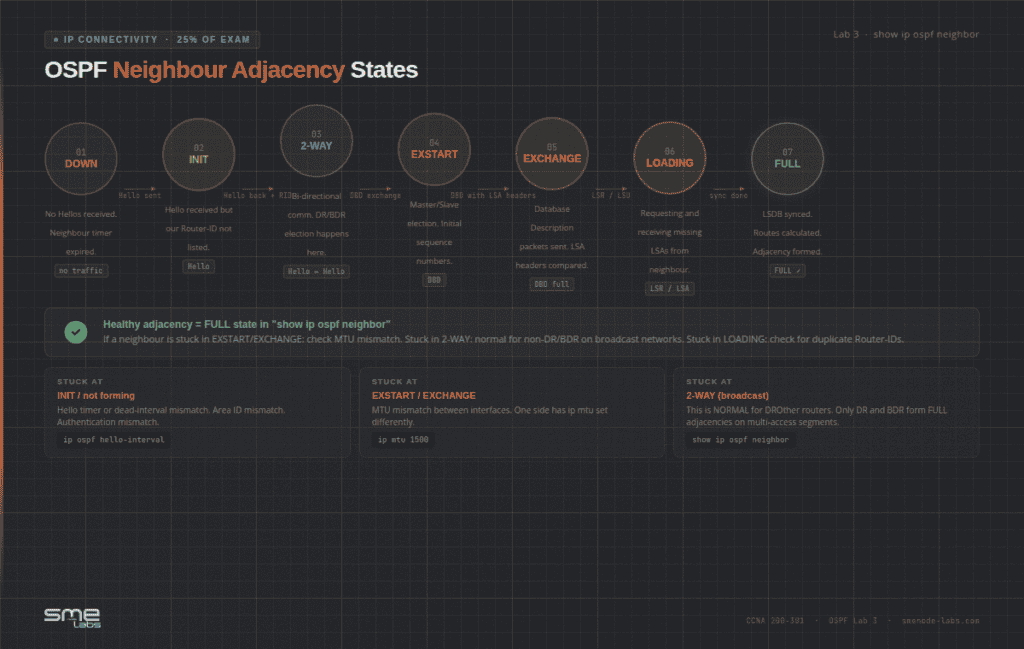 Advanced network monitoring and management for optimized connectivity.