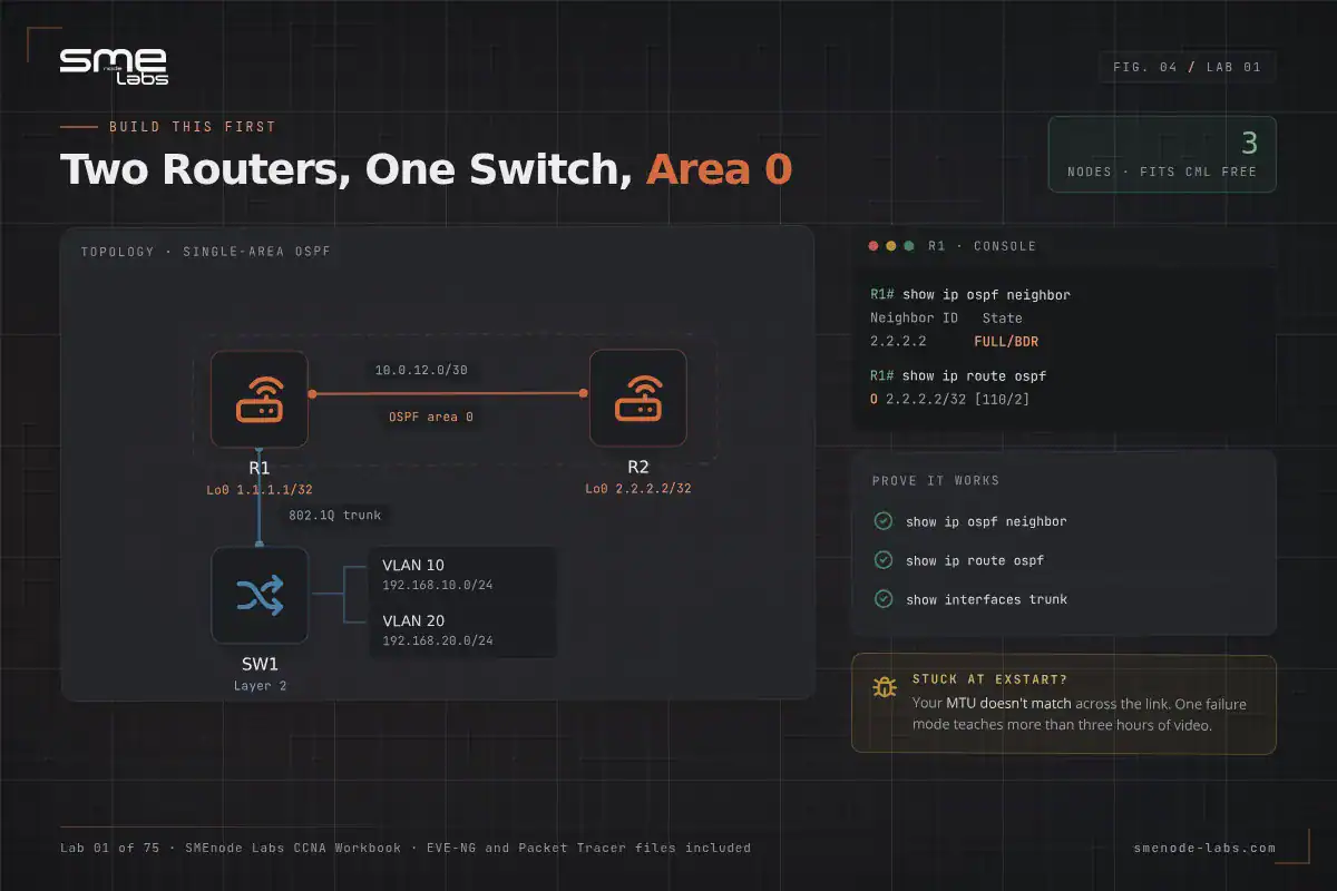 Network setup with two routers, switch, and VLANs in a home lab environment.