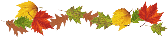 Vibrant autumn leaves from Smoky Fans Social event, showcasing community engagement and seasonal celebration.