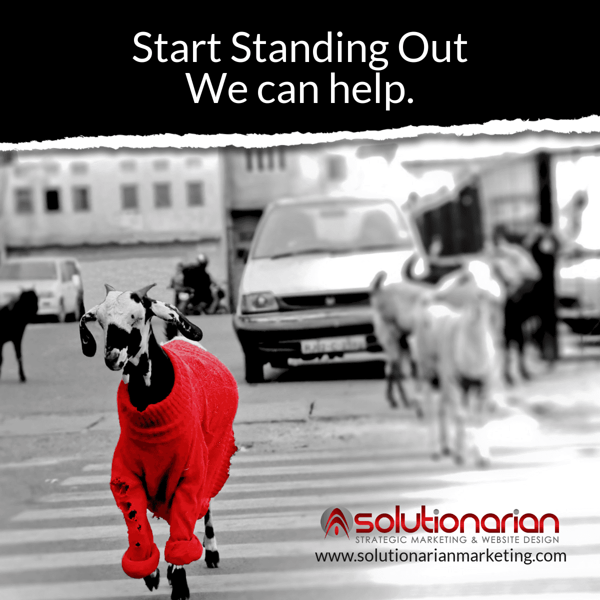 branding and standing out