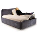 windsor dual kingsize electric adjustable bed