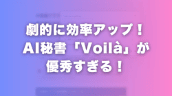 Voila レビュー