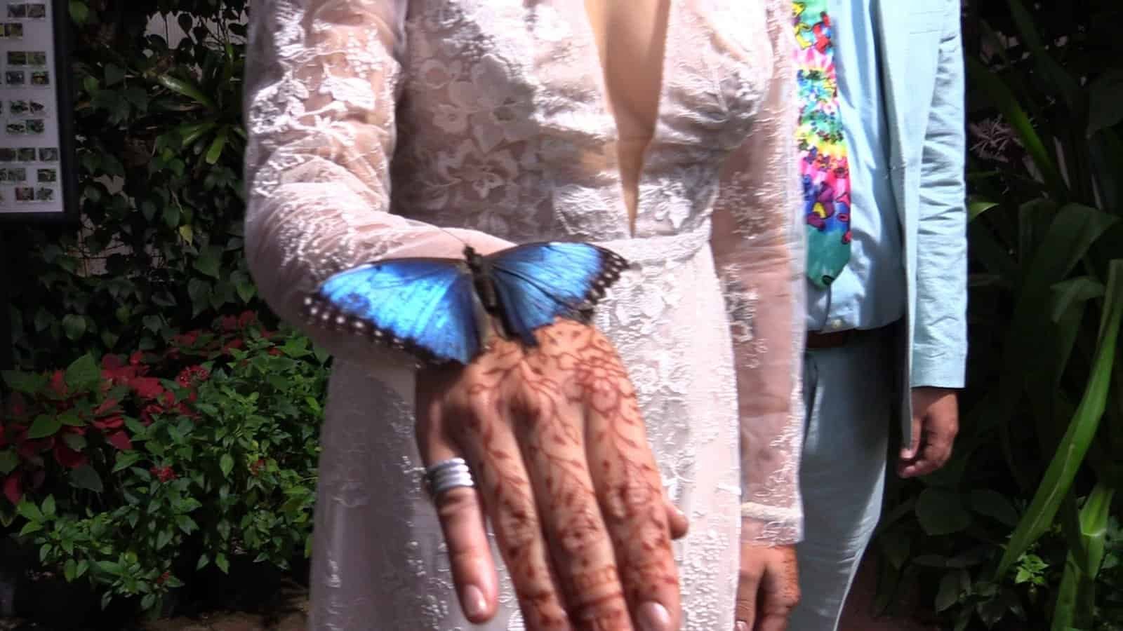 Beautiful bride showcasing intricate henna designs with a butterfly on her finger during her wedding celebration.