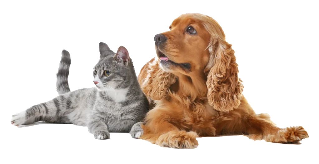 SPM Petfood รับผลิตอาหารสัคว์