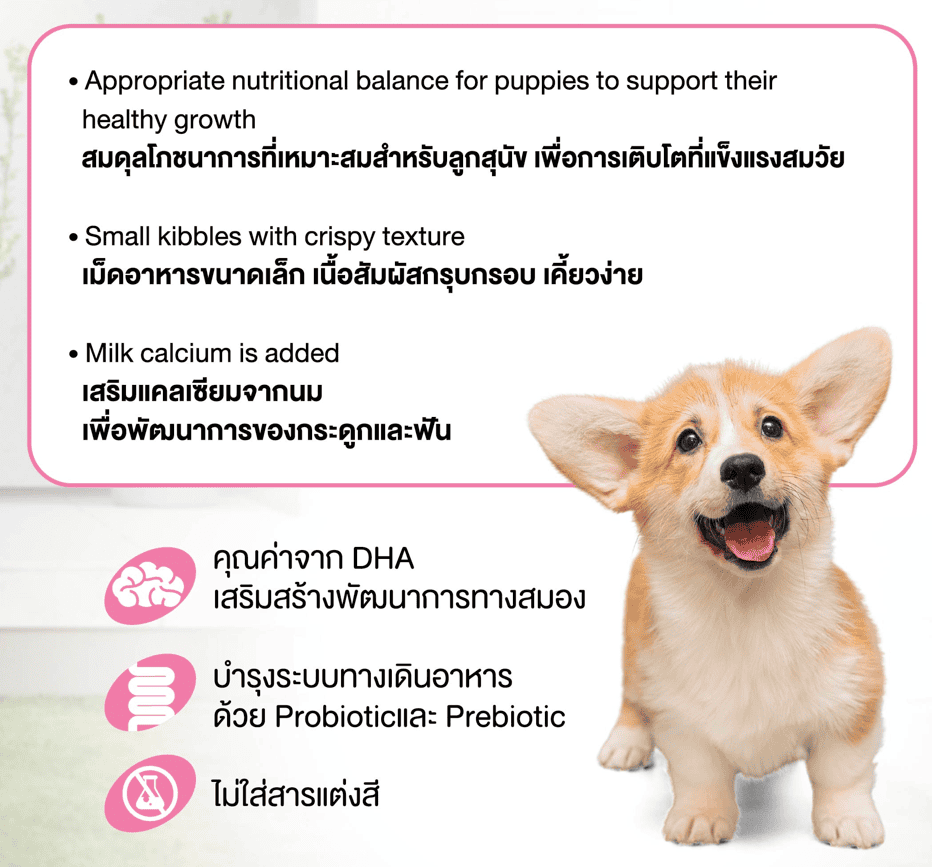 Vita One Senior สูตรเสริมพัฒนาการสมอง