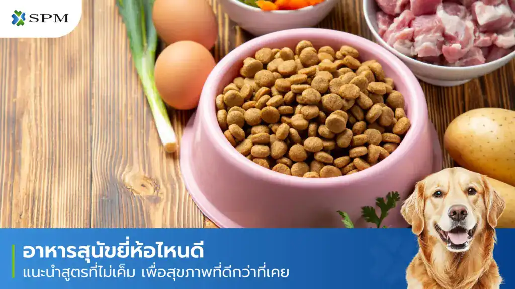อาหารสุนัข ยี่ห้อไหนดี