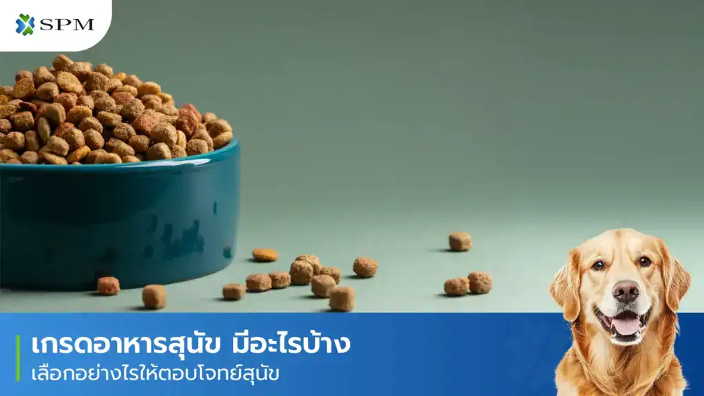 เกรดอาหารสุนัข