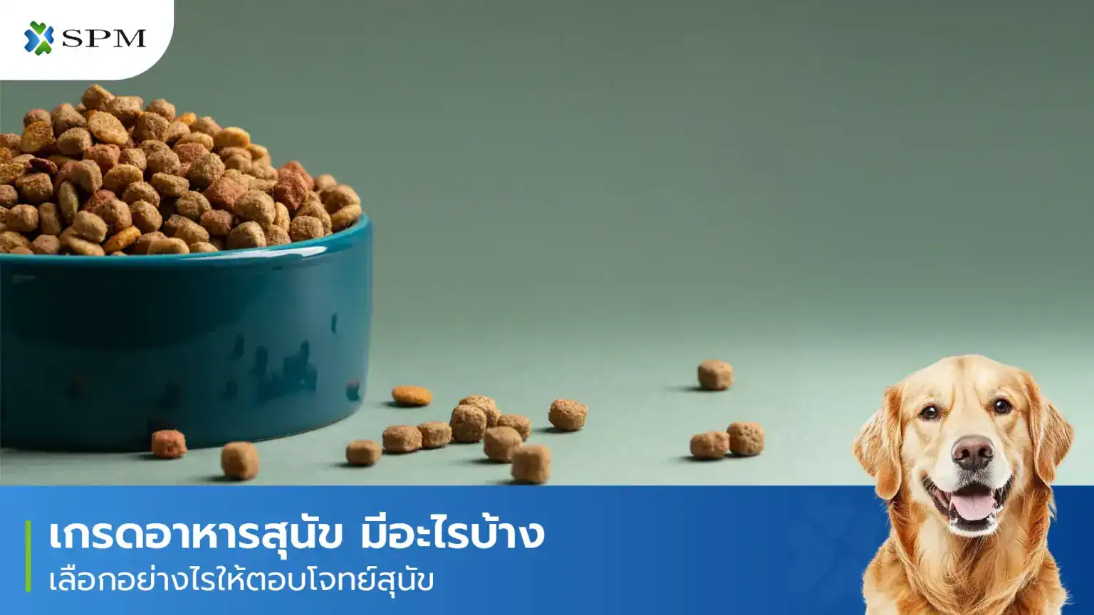 เกรดอาหารสุนัข