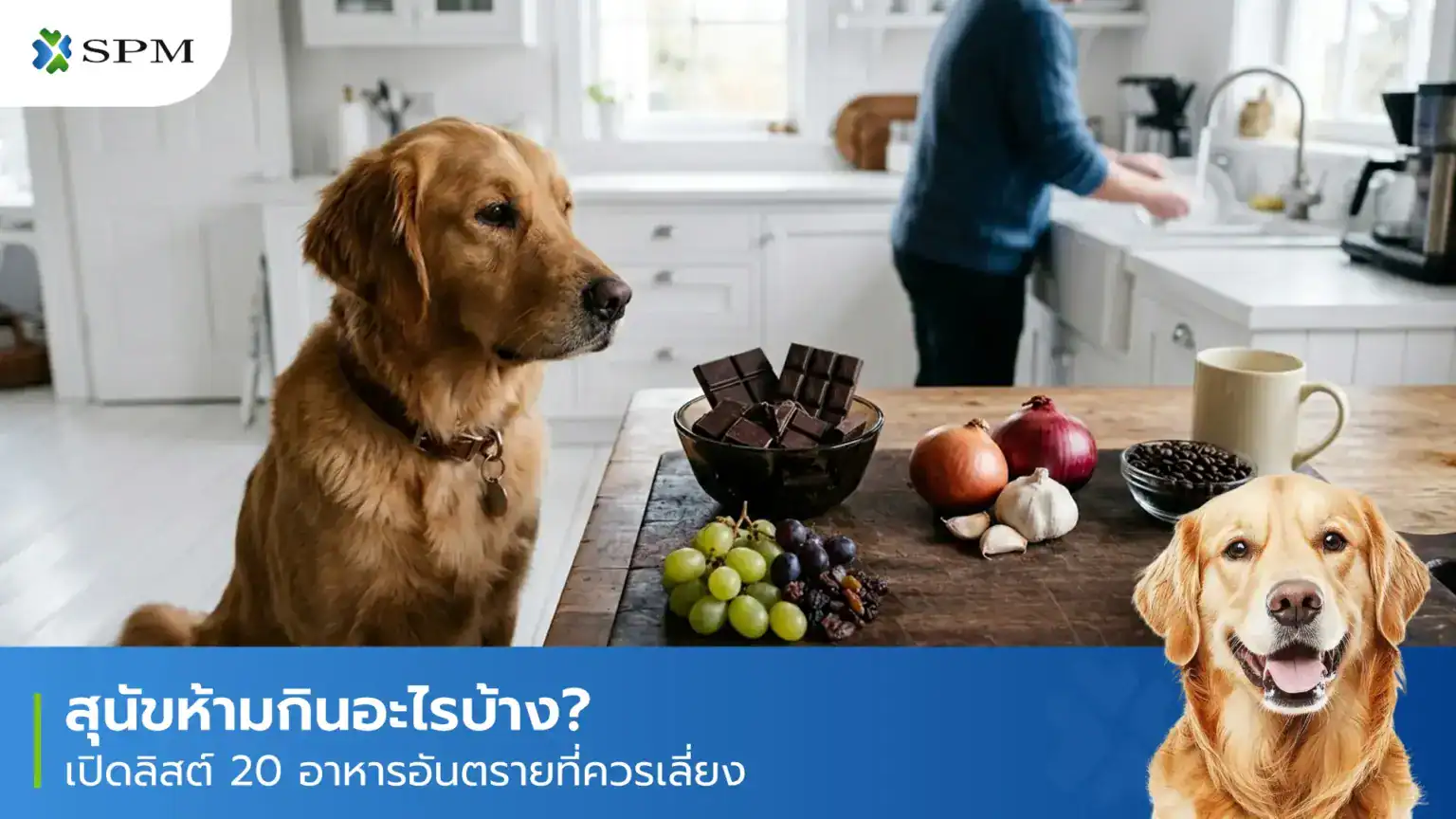 สุนัขห้ามกินอะไรบ้าง