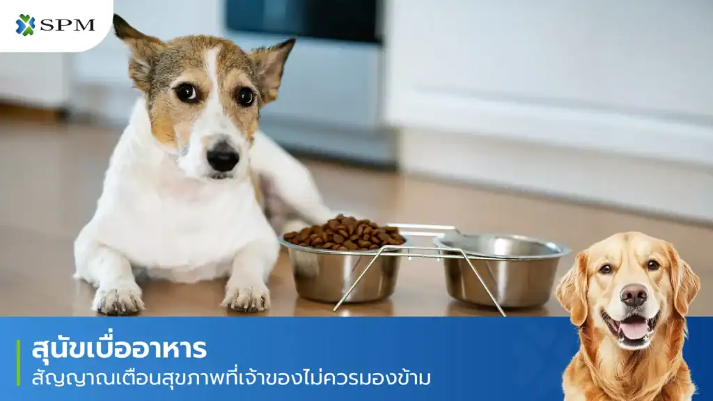 สุนัขเบื่ออาหาร