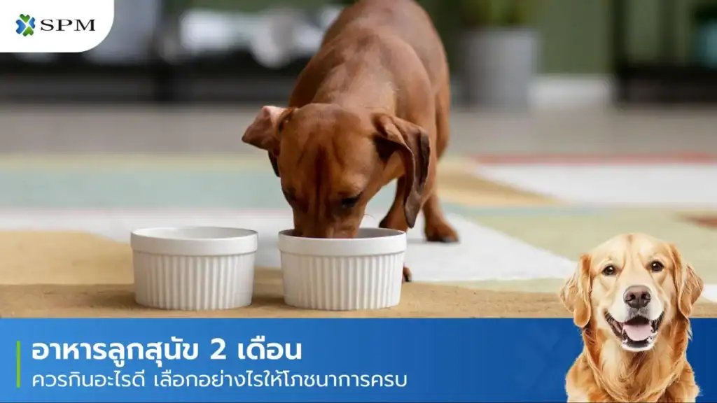 อาหารลูกสุนัข 2 เดือน