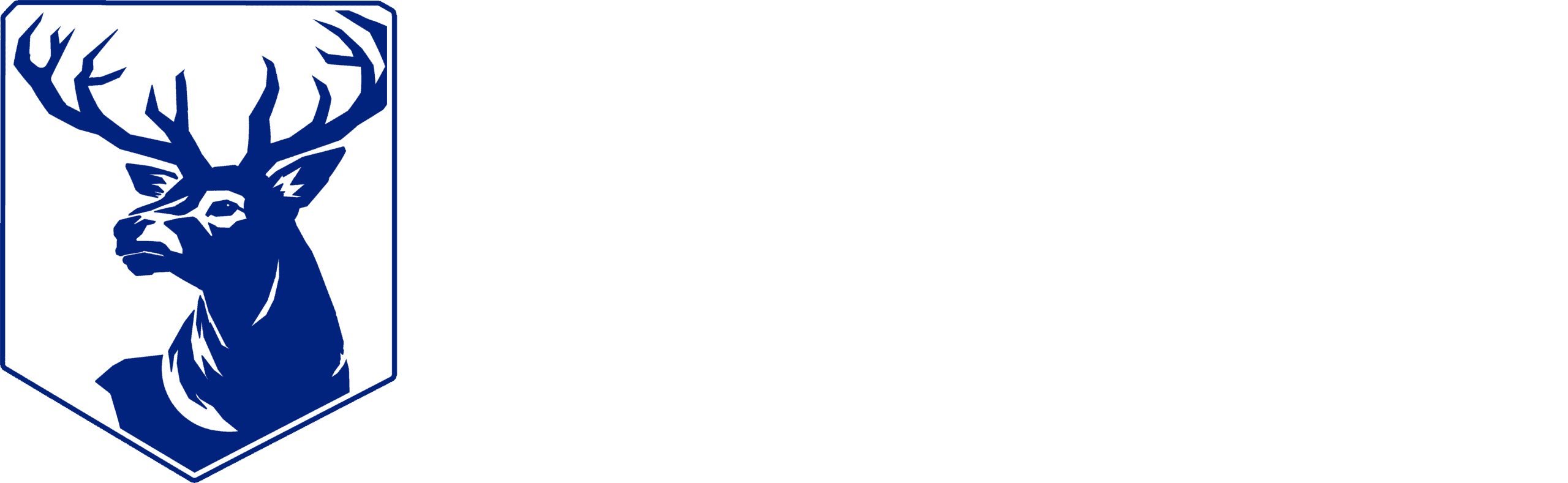 Sportsgulv