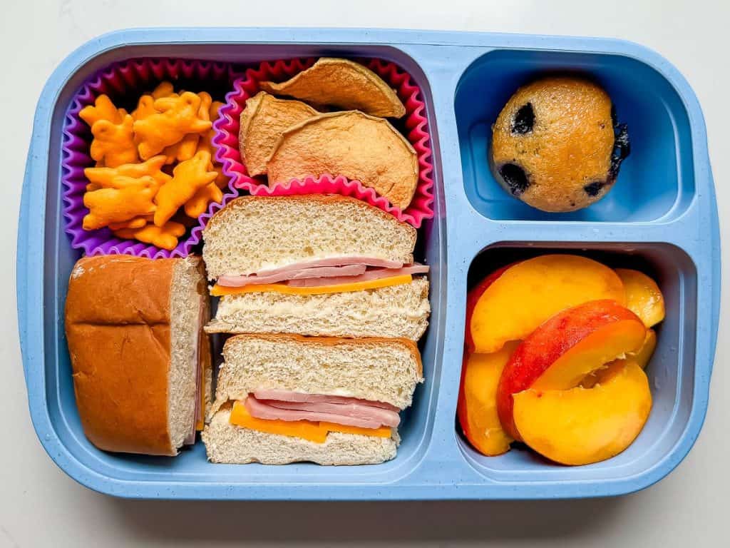 easy lunch ideas for school