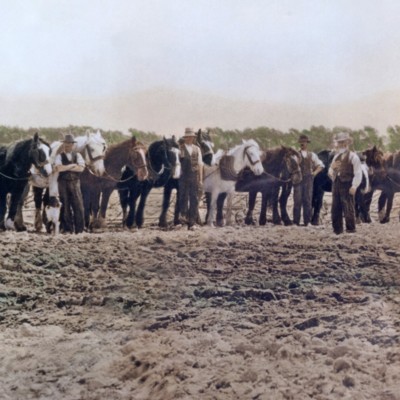 old photo with horses and plows in field with men in old farm cloths