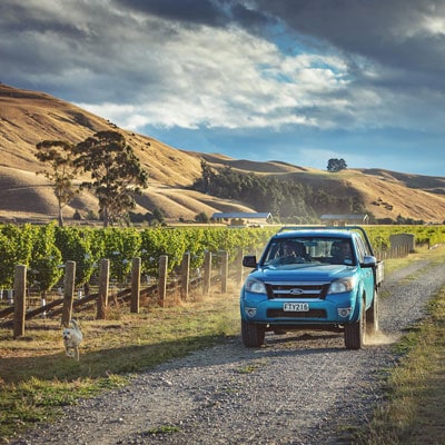 4W drive on gravel road in vineyard