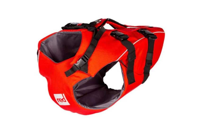20 Best Paddle Board Accessories: Best SUP Gear for 2025 10 Dog PFD