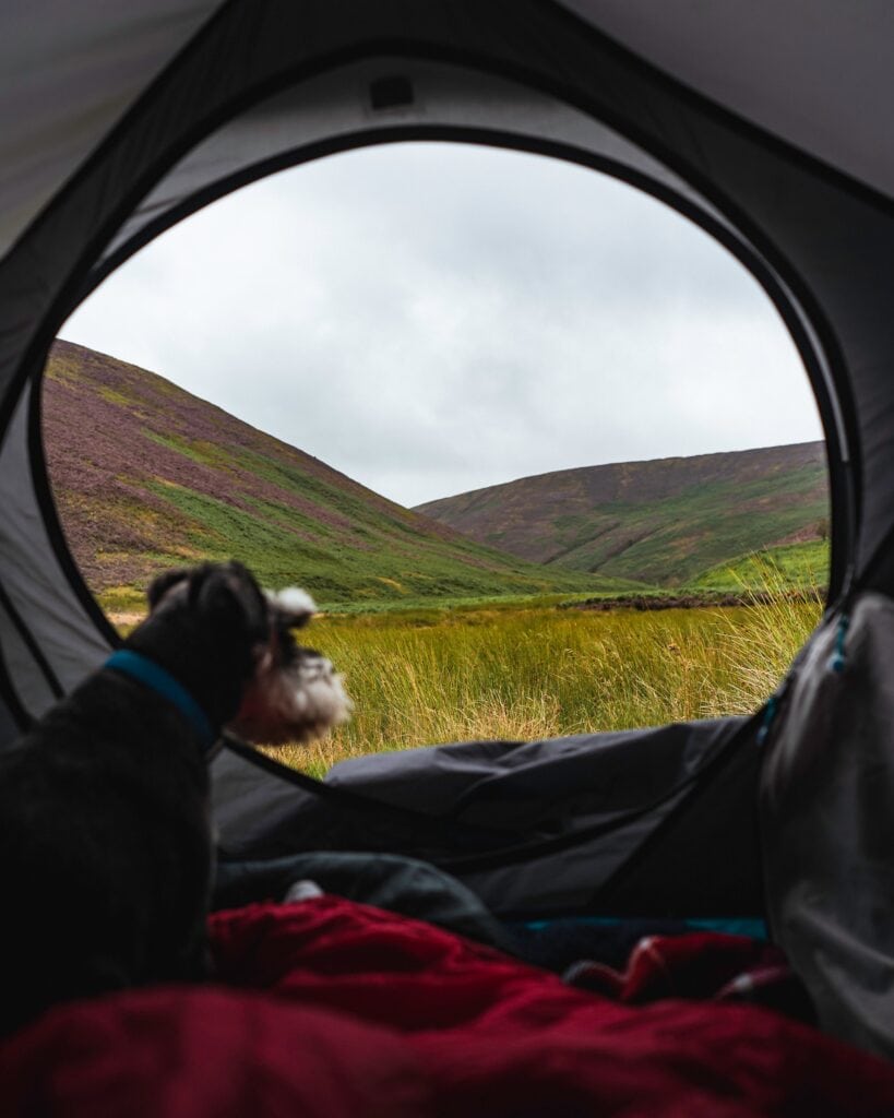 Wild Camping: The Complete Beginner's Guide (2025) 1 samuel girven h2dxBHHCWnY unsplash