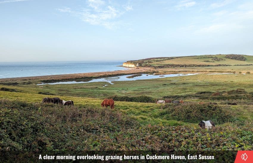 Why Do People Like Camping? 19 Reasons Why I Love Camping! 2 Horses grazing by the sea