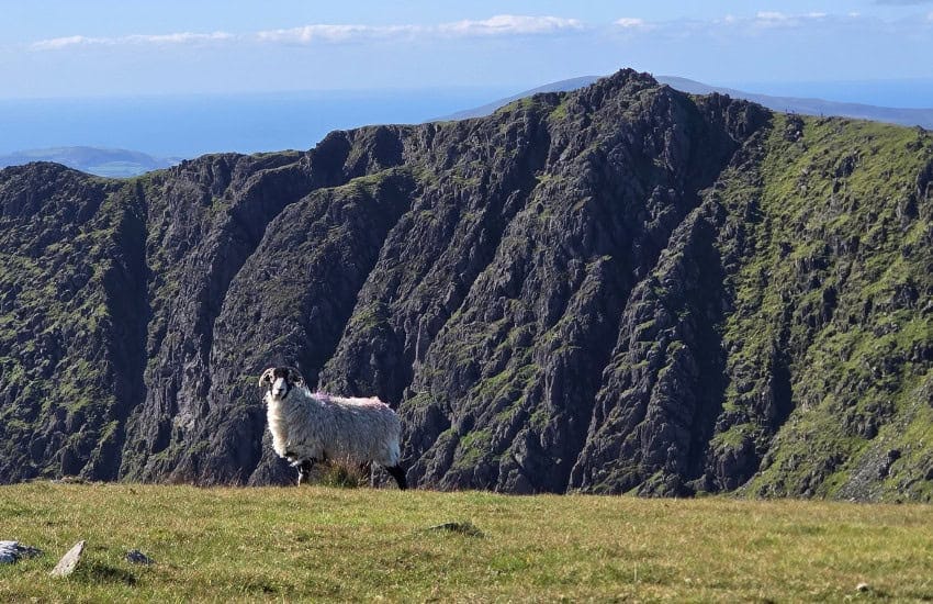 Old Man of Coniston: Lake District Trail Guide 2025 8 Brin Fell