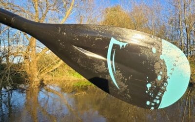 Bluefin 4-Piece Aluminium Paddle Review (2026)