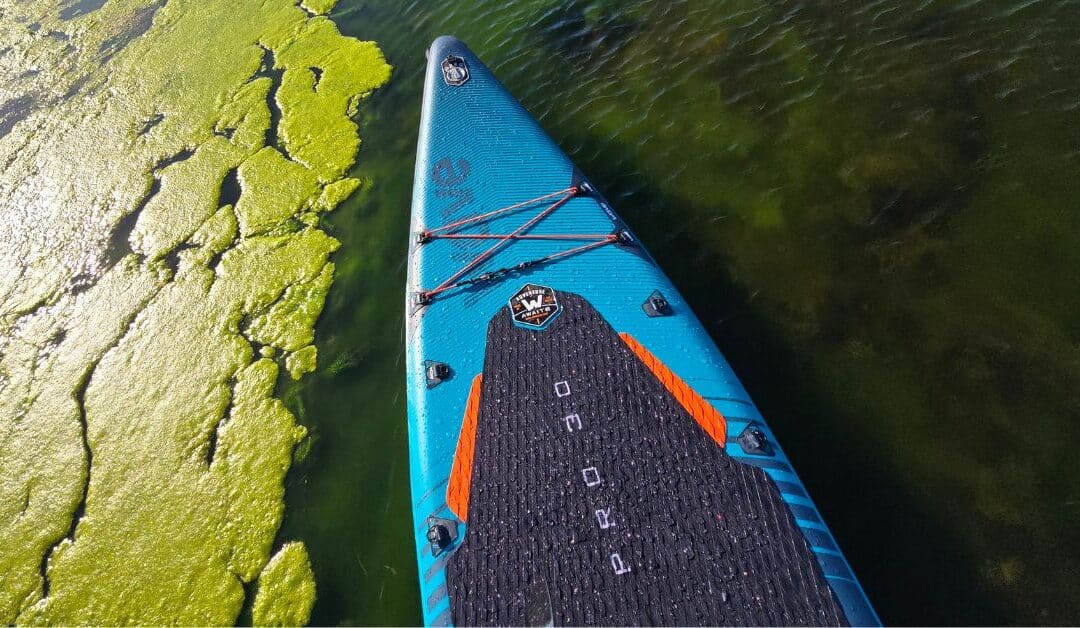 Wave Pro 3.0 Paddleboard (SUP) Review 2026