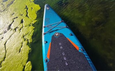 Wave Pro 3.0 Paddleboard (SUP) Review 2026