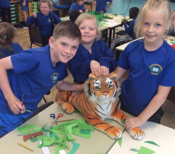 A Tiger came to visit!