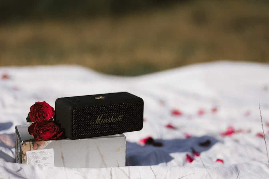 Bluetooth højtaler til streaming af musik udendørs.
