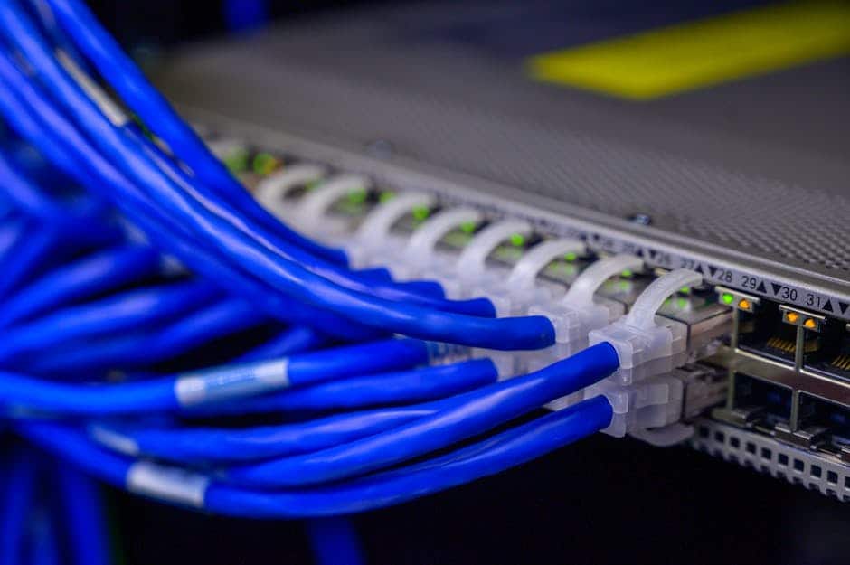 Servernetværk med blå netværkskabler og switch til streaming tjenester.