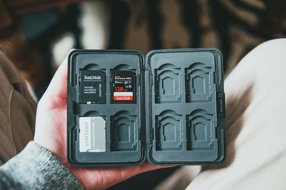 Bærbar opbevaringskasse med SD-kort og microSD-kort til dataoverførsel.