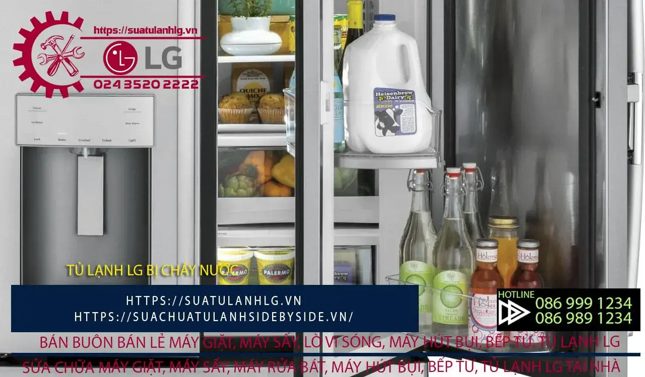 LG refrigerator water leak repair service, LG fridge water leakage troubleshooting, professional LG fridge repair specialists.