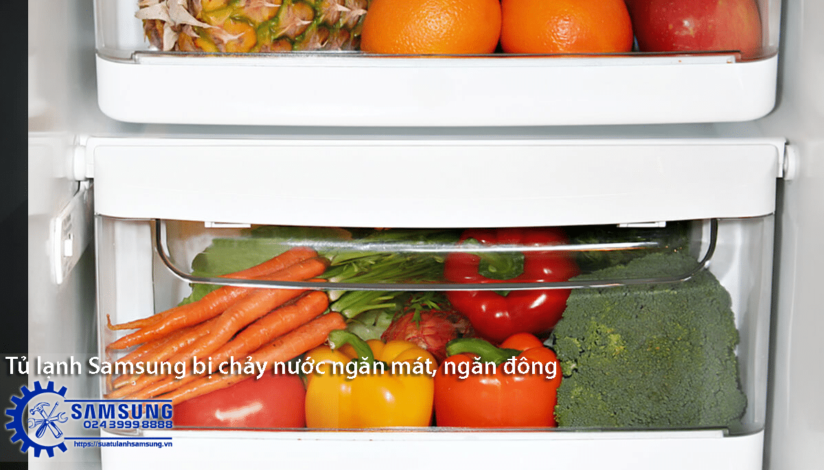 Vegetable storage inside a Samsung side by side refrigerator showing water leak issue, repair service for Samsung fridge, professional Samsung refrigerator repair near me.