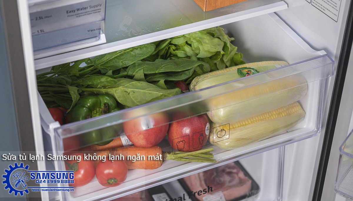Fresh vegetables and fruits inside a Samsung side-by-side refrigerator with a transparent door compartment for easy storage and organization.