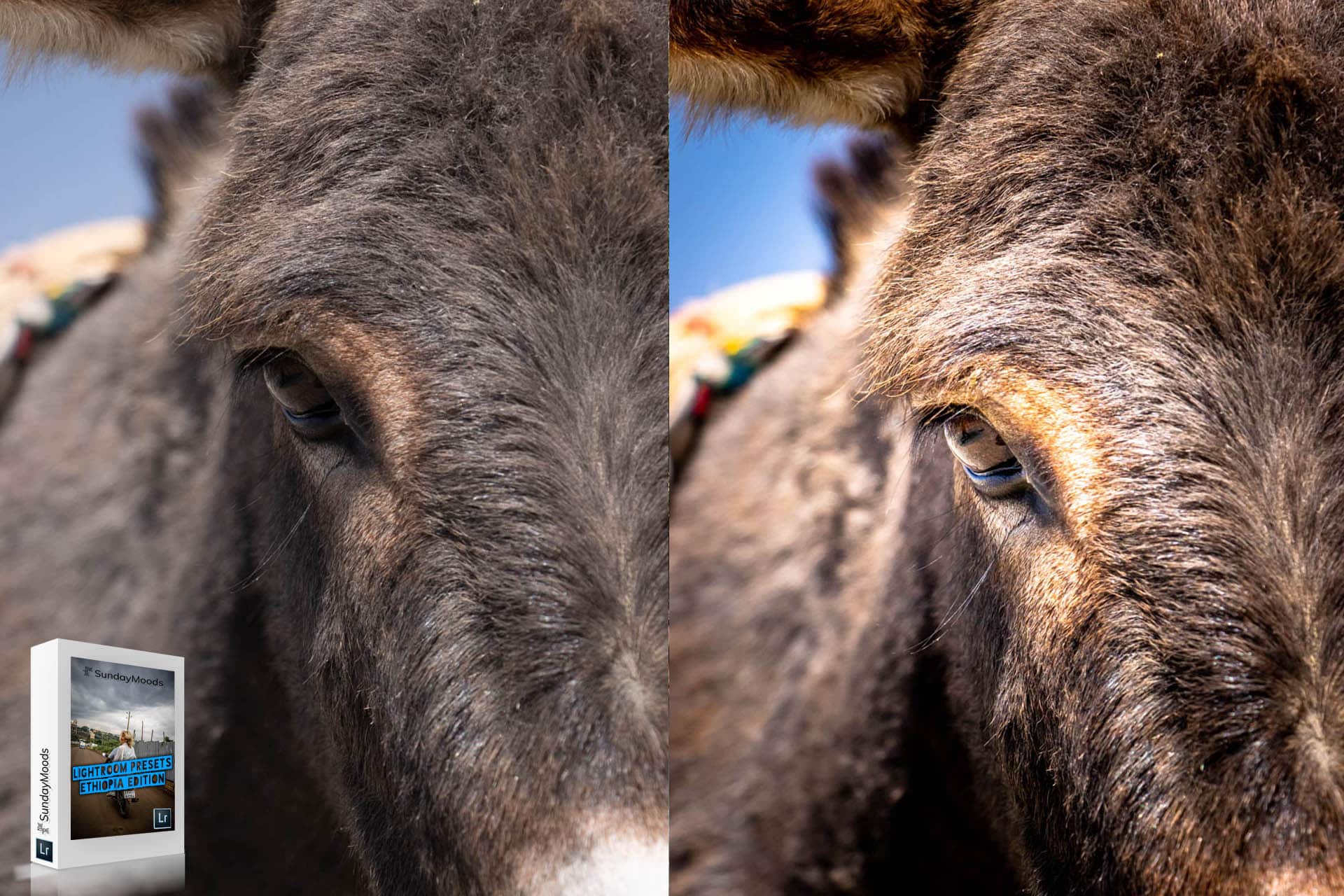 Lightroom Presets ETHIOPIA edition - Image 4