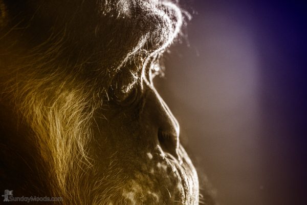 Contemplating the years