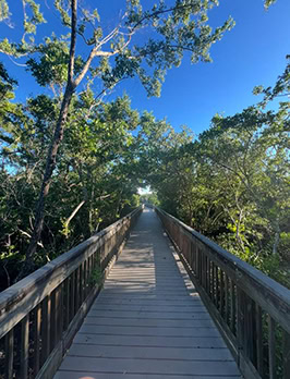 The overpass from the parking lot to St. Pete Beach.