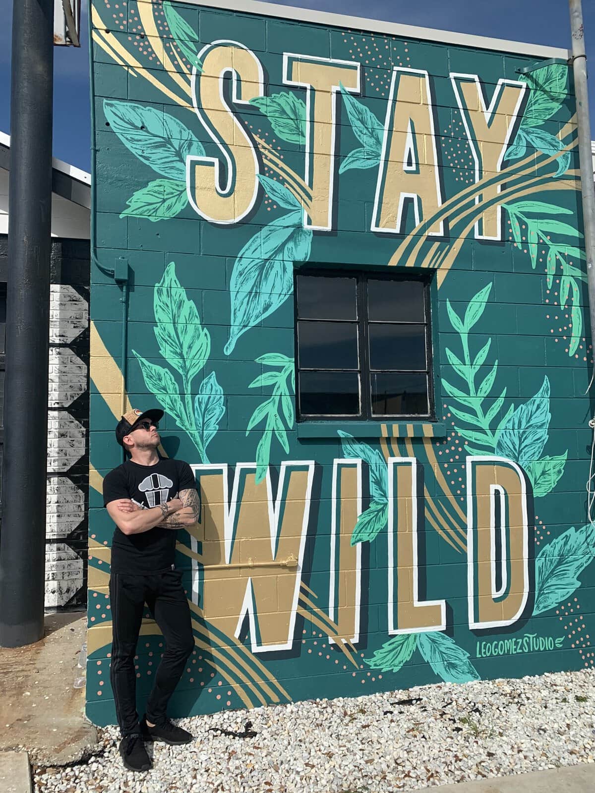 stay wild stpete fl mural