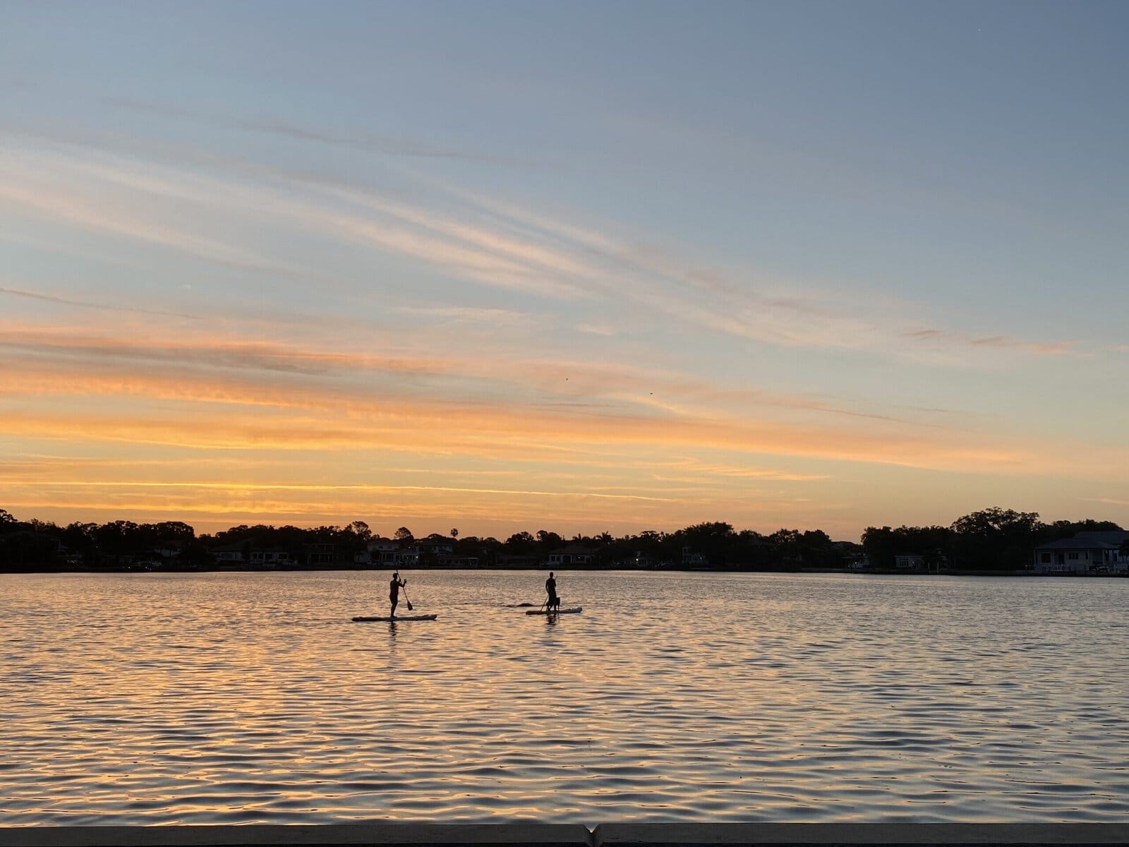 Two silhouetted paddleboarders gliding on calm waters during a golden sunset in St. Petersburg, Florida.