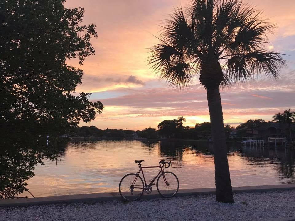 A bicycle and palm tree silhouetted against a vibrant pink sunset over calm water.